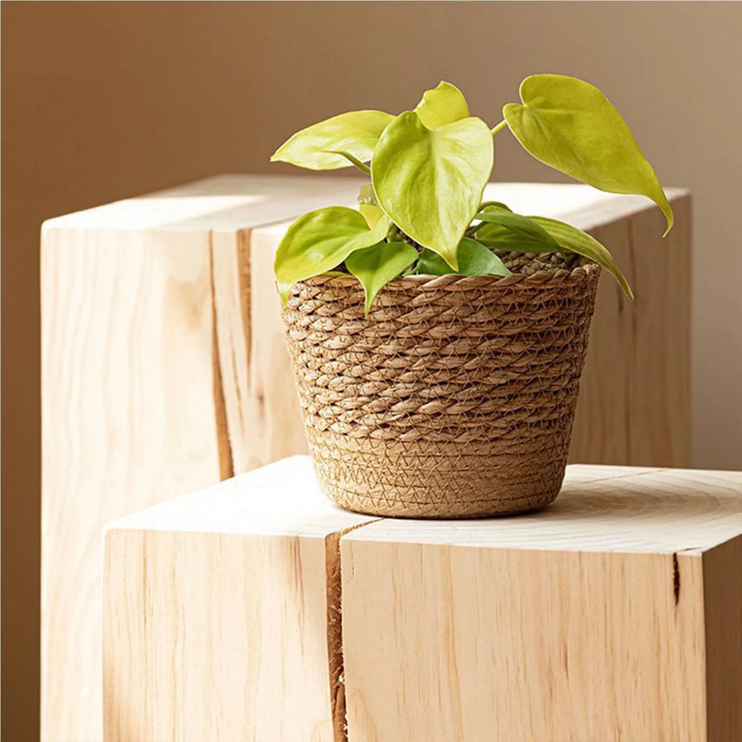 Natural Seaweed Woven Flowerpot