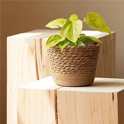 Natural Seaweed Woven Flowerpot