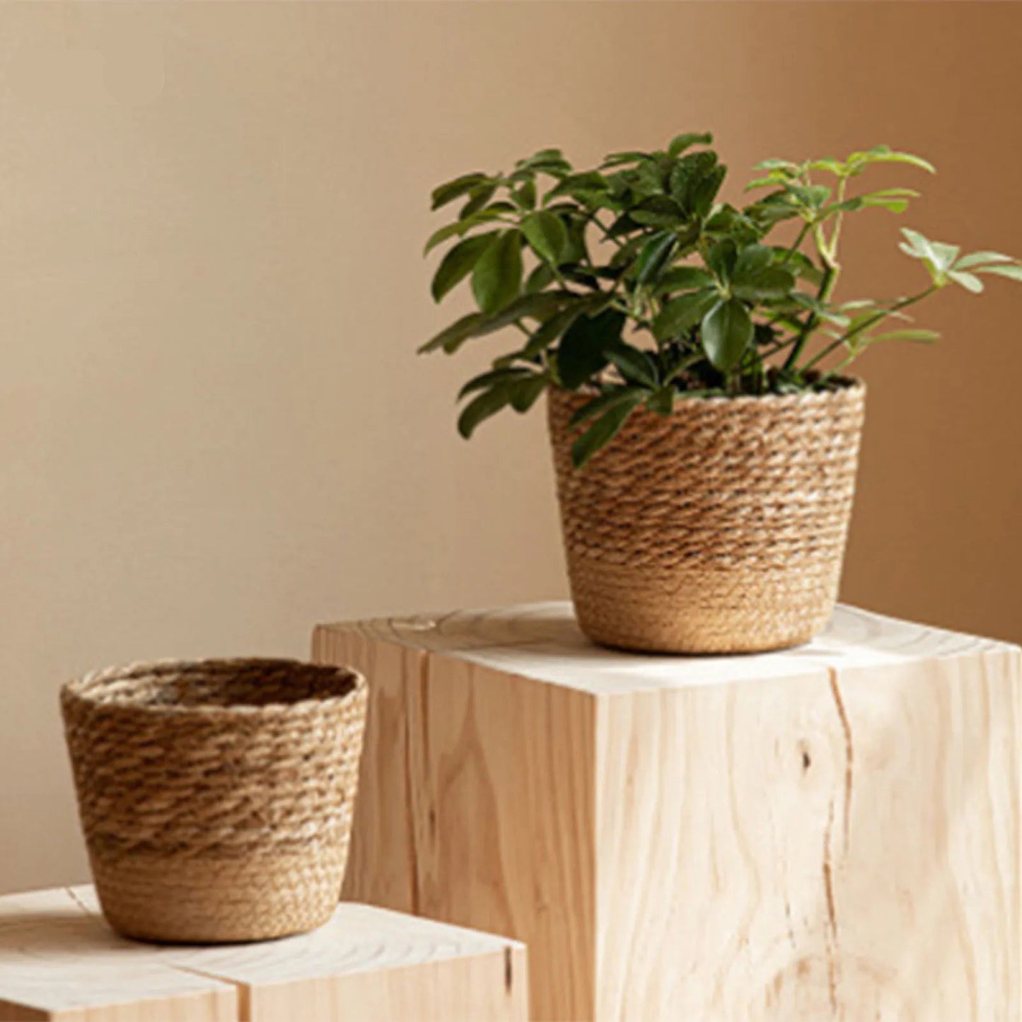 Natural Seaweed Woven Flowerpot